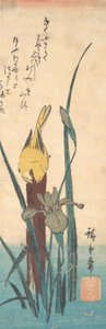 Oiseau et iris - Ando Hiroshige