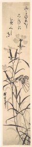 Impression en noir et blanc de papillon et fleur rose
