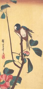 Camélia et oiseau à tête bleue, vers 1833