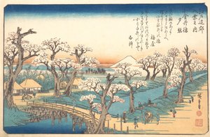 Lueur du soir à la frontière de Koganei, 19e siècle - Ando Hiroshige