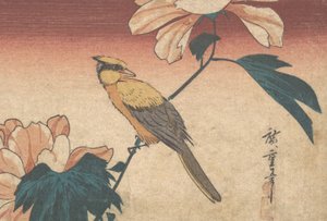 Hibiscus Mutabilis et Geai, ca. 1840 - Ando Hiroshige