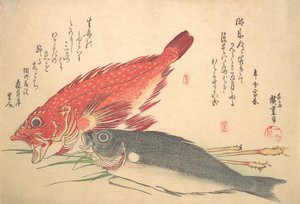 Isaki et poisson Kasago, de la série Uozukushi Chaque variété de poisson, années 1830