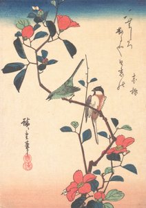 Mésange et Zostérops du Japon sur une branche de camélia, vers 1840 - Ando Hiroshige