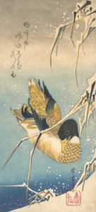 Canard colvert et roseaux enneigés - Ando Hiroshige