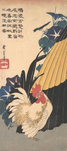 Coq, parapluie et gloires du matin, ca. 1830 - Ando Hiroshige