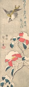 Moineau et camélia couvert de neige Tsubaki