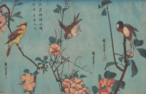 Mésange et camélias à droite, moineau et roses sauvages au centre, et oriole à nuque noire..., vers 1833.