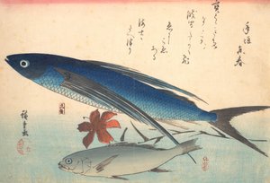 Tobiuo et poisson Ishimochi, de la série Uozukushi Chaque variété de poisson, années 1840