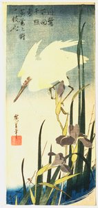 Héron blanc et iris, 1833 - Ando Hiroshige
