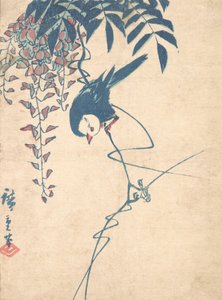 Glycine et oiseau à tête blanche - Ando Hiroshige