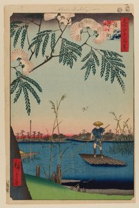 Rivière Ayase et Kanegafuchi