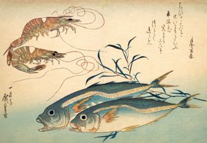 Chinchard japonais et crevette tigre japonaise - Ando or Utagawa Hiroshige
