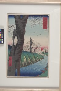Koganei dans la province de Musashi