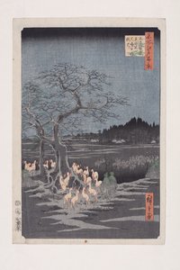 Feux de renard de la veille du Nouvel An à l