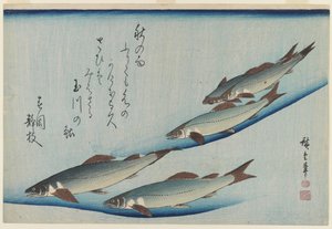 École de cinq truites de mer, période Edo - Ando or Utagawa Hiroshige