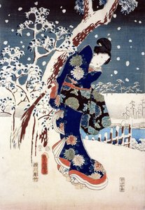 Scène de neige dans le jardin d