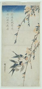 Hirondelles et fleurs de pêcher au clair de lune