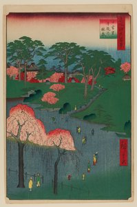 Temple Gardens, Nippori