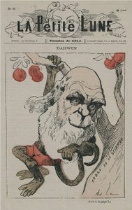 Darwin en singe sur La Petite Lune - Andre Gill