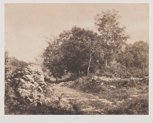 Scène sans titre de Fontainebleau, vers 1853 - André Giroux