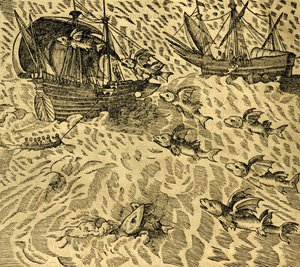 Poissons volants dans les mers tropicales, gravure de Cosmographie Universelle, par André Thevet (1504-1592), Paris