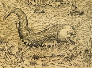 Monstre marin, gravure de la Cosmologie Universelle, par André Thevet (1504-1592), Paris