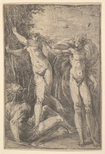 Apollon et Daphné, vers 1538-40
