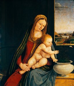 Madone et Enfant ou Madone des Œillets - Andrea Solario