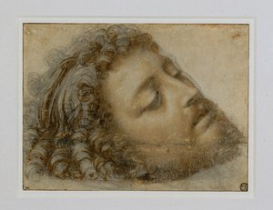 Tete de Saint Jean-Baptiste … - Andrea Solario
