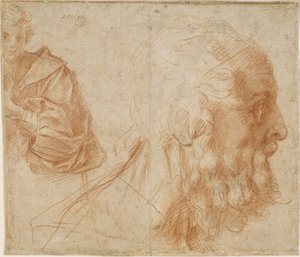 Un jeune homme et la tête d