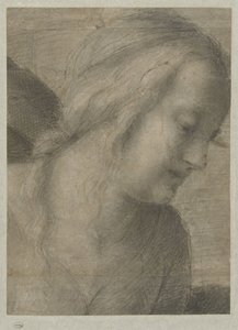 Tête de Marie, dans une Adoration - Andrea del Sarto
