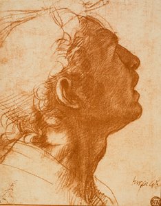 Tête masculine