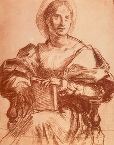 Portrait de Lucrezia del Fede