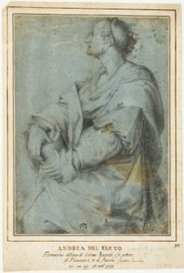 Sainte Marie-Madeleine - Andrea del Sarto