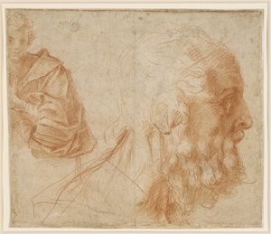  - Andrea del Sarto
