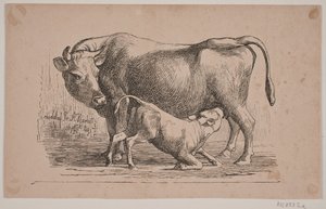 La vache et le veau - Andreas Flinch