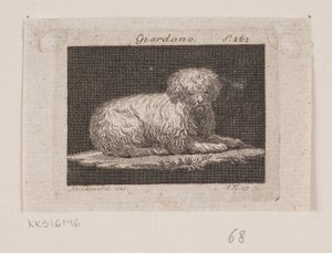 Giordano, un chien couché - Andreas Flint