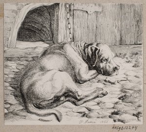 Un chien enchaîné endormi