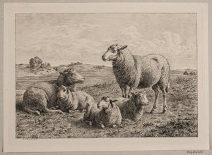Moutons et agneaux dans le champ - Andreas Peter Madsen