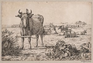 Paysage avec des vaches