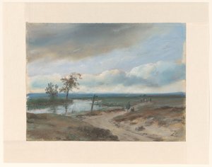 Paysage de marais