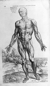 Andrea Vesalio (1514 - 1564), médecin de Charles V. "Humani corporis fabrica libri septem", Bâle 1543