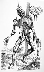 Les planches du deuxième livre de De Humani Corporis Fabrica