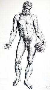 Les Planches du septième livre de De Humani Corporis Fabrica - Andreas Vesalius