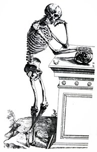 Les planches du septième livre de De Humani Corporis Fabrica - Andreas Vesalius