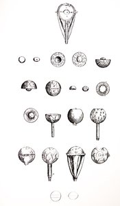 Les planches du septième livre de De Humani Corporis Fabrica