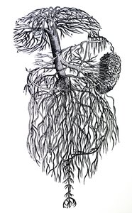 Les Planches du Troisième Livre de De Humani Corporis Fabrica - Andreas Vesalius