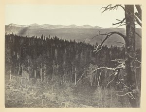 Ligne de neige et de bois, montagne de Medicine Bow - Andrew Joseph Russell