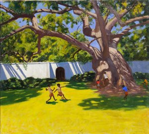 ANCIEN CAMPOR TREE, VERGELEGEN ESTATE, AFRIQUE DU SUD - Andrew Macara