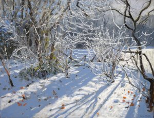 Givre, 2011 - Andrew Macara